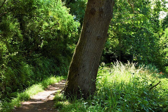 Paradise Valley Beauty Walk - Why This Tour Stands Out