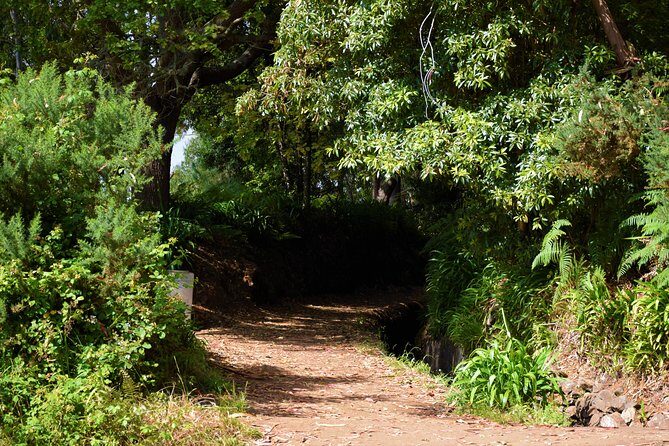 Paradise Valley Beauty Walk - Practical Details You Should Know