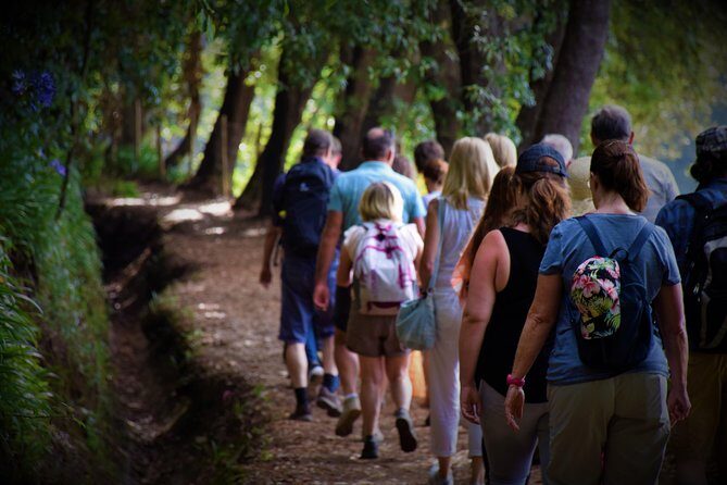 Paradise Valley Beauty Walk - Who Will Love This Experience?
