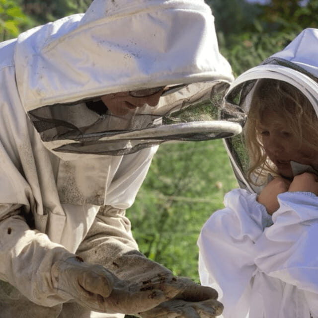 Paradise Valley: Bee Adventure Tour! - Key Points