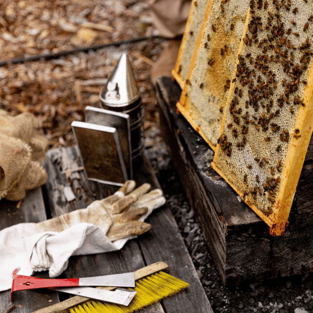 Paradise Valley: Bee Adventure Tour! - A Detailed Look at the Paradise Valley Bee Adventure Tour