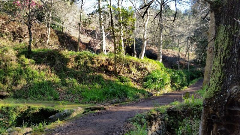 Paradise Valley half-day morning walk. - Why This Tour Is a Perfect Fit