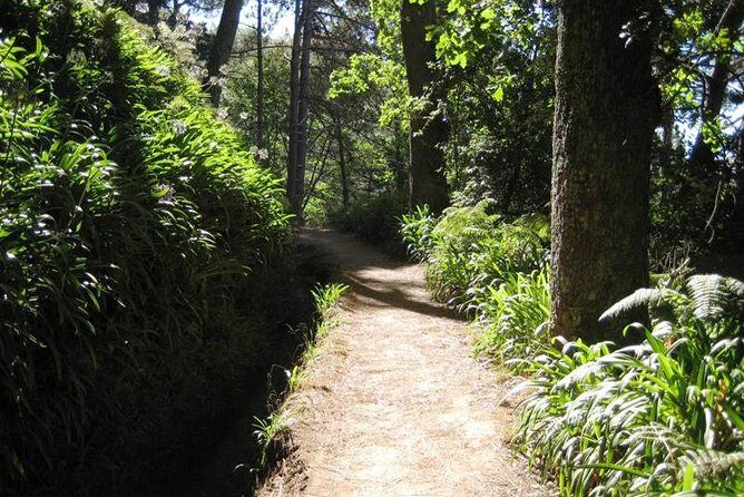 Paradise Valley - Levada Walk - Discover Madeira’s Natural Beauty with the Paradise Valley - Levada Walk