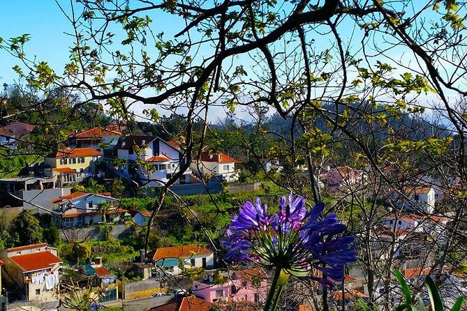 Paradise Valley - Levada Walk - The Sum Up: Who Will Love the Paradise Valley Levada Walk?