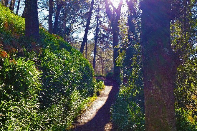 Paradise Valley - Levada Walk - FAQ