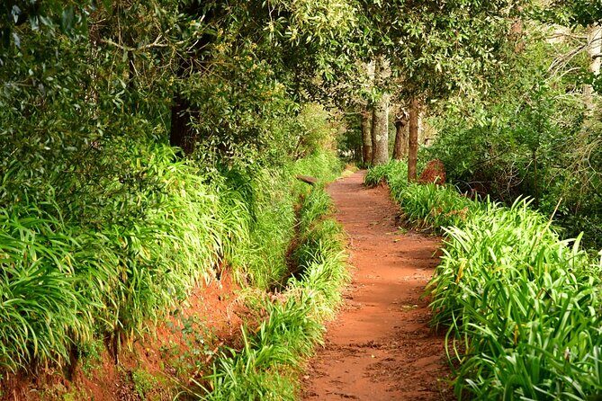 Paradise Valley Madeira Island Walk - A Detailed Look at the Paradise Valley Madeira Island Walk