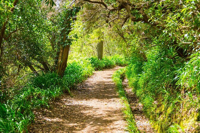 Paradise Valley Madeira Island Walk - Who Should Consider This Tour?