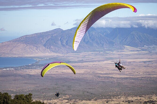 Paraglide Maui's 1K Tandem Paragliding Experience - Who Is This Tour Best For?