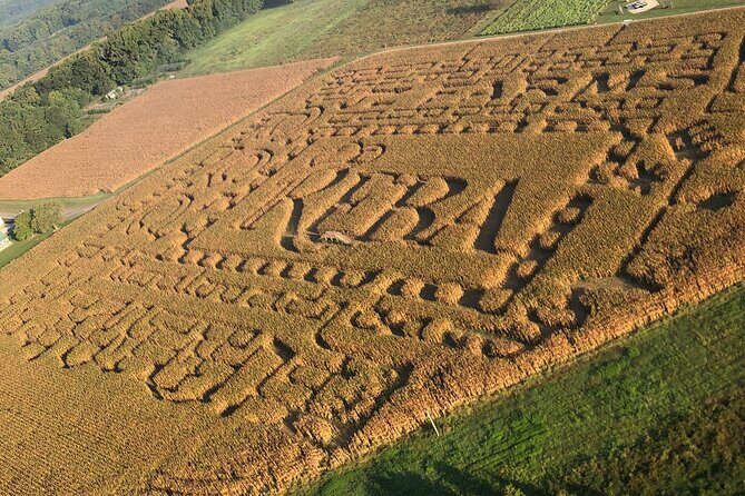 Paraglider flight with a certified instructor - Authentic Feedback from Travelers
