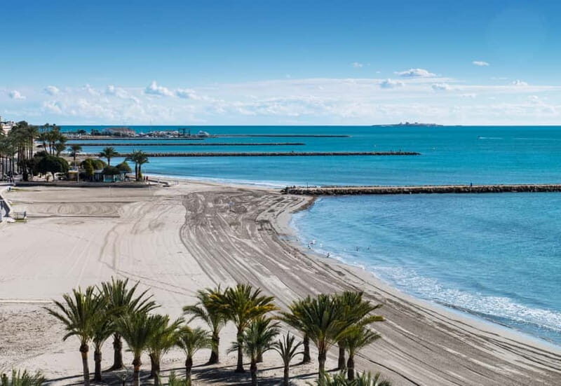 Paragliding adventure in Santa Pola from Alicante, including pick-up in a van. - The Itinerary: From Ground to Sky