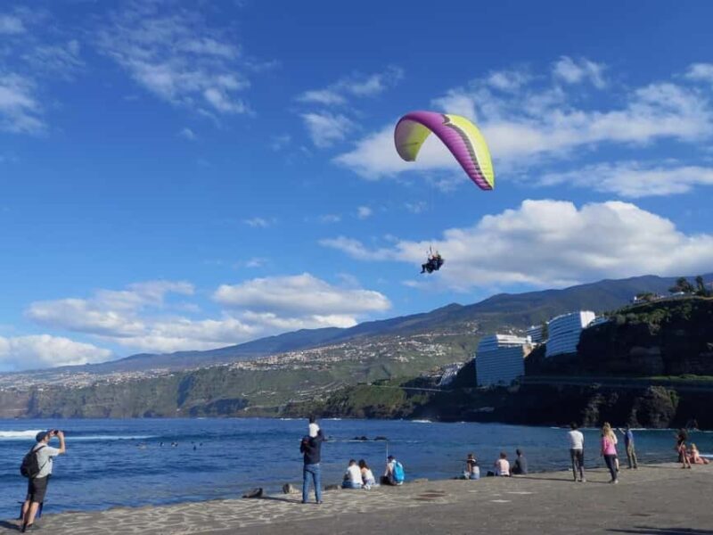 Paragliding from Puerto de la Cruz or Teide (day/sunset) - The Sum Up