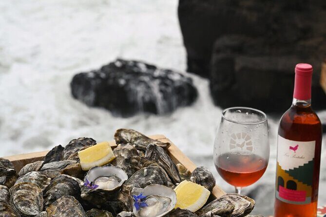 Paragliding Rosarito & Puerto Nuevo Lobster - Final Thoughts