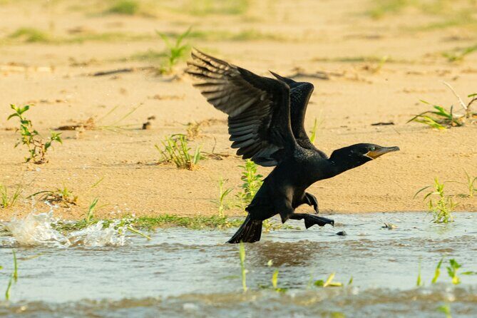 Paraguay River Nature and Wildlife Boat Tour from Asunción - Who Should Consider This Tour?