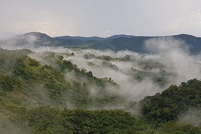 Paramin Jeep Tour in Trinidad - FAQ about the Paramin Jeep Tour in Trinidad