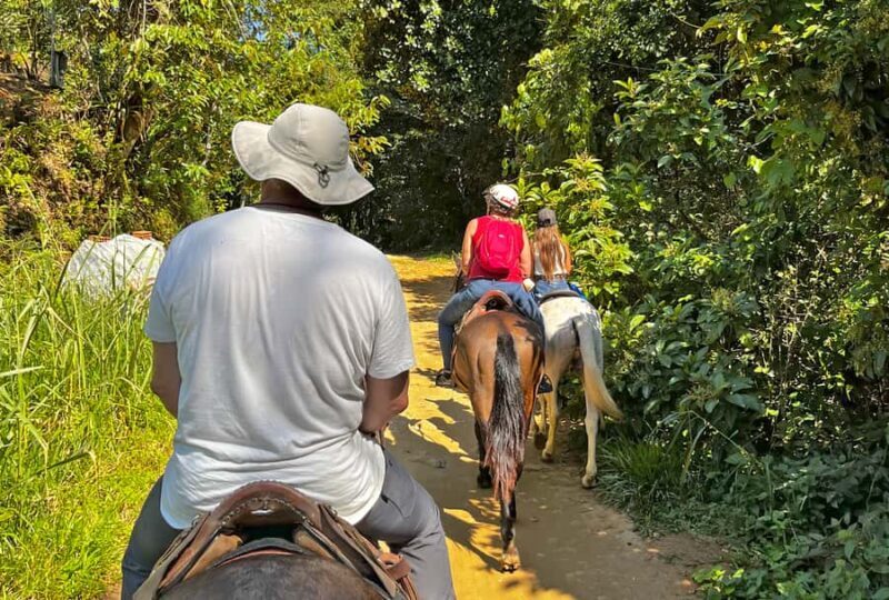 Paraty: 3-Hour Rainforest Horseback Ride - Exploring the Rainforest by Horseback: A Practical and Authentic Experience