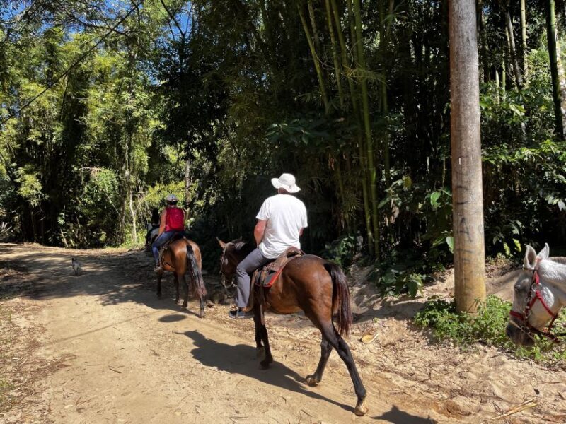 Paraty: 3-Hour Rainforest Horseback Ride - FAQ