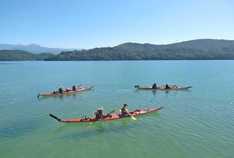 Paraty Bay: Half-Day Mangroves and Beaches Tour by Kayak - Key Points