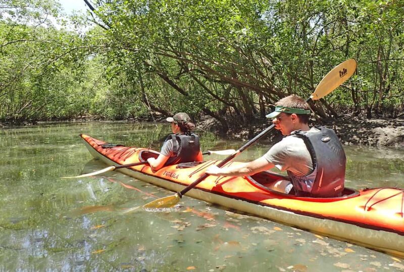 Paraty Bay: Half-Day Mangroves and Beaches Tour by Kayak - An In-Depth Look at the Paraty Bay Kayak Tour