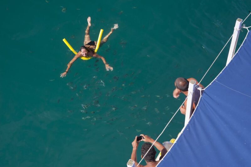 Paraty Bay: Islands & Beaches Boat Tour with Snorkeling - Who Is This Tour Best For?