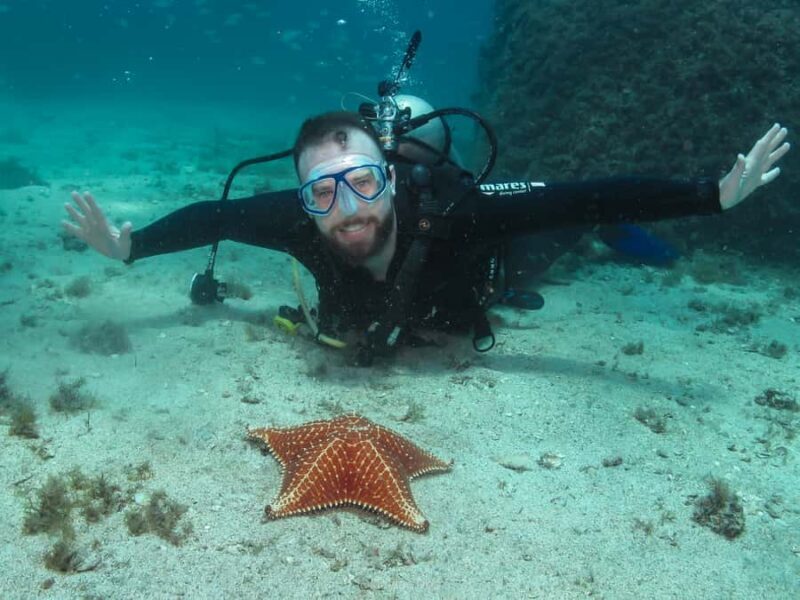 Paraty: Discovery Scuba Diving Experience for Beginners - Key Points