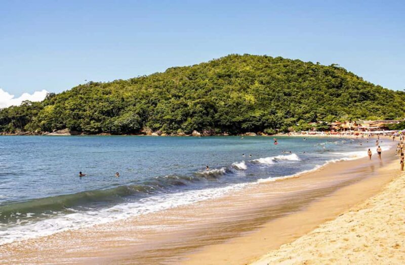 Paraty Forest Hike and Beach Snorkel: Full-Day Tour - Key Points