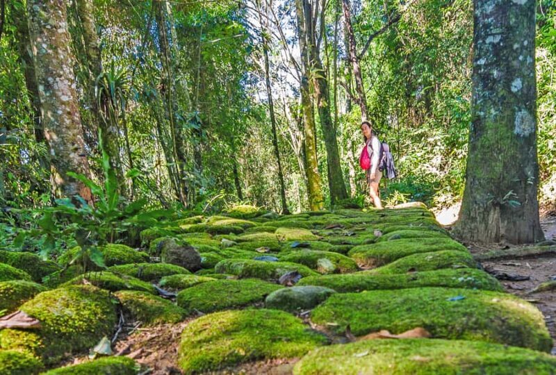 Paraty: Gold Trail Rainforest Hiking Tour - Paraty: Gold Trail Rainforest Hiking Tour
