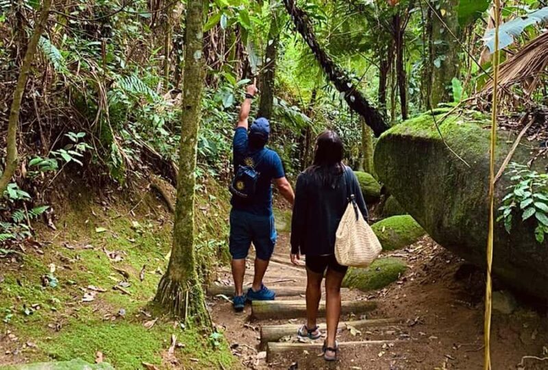 Paraty: Gold Trail Rainforest Hiking Tour - Key Points