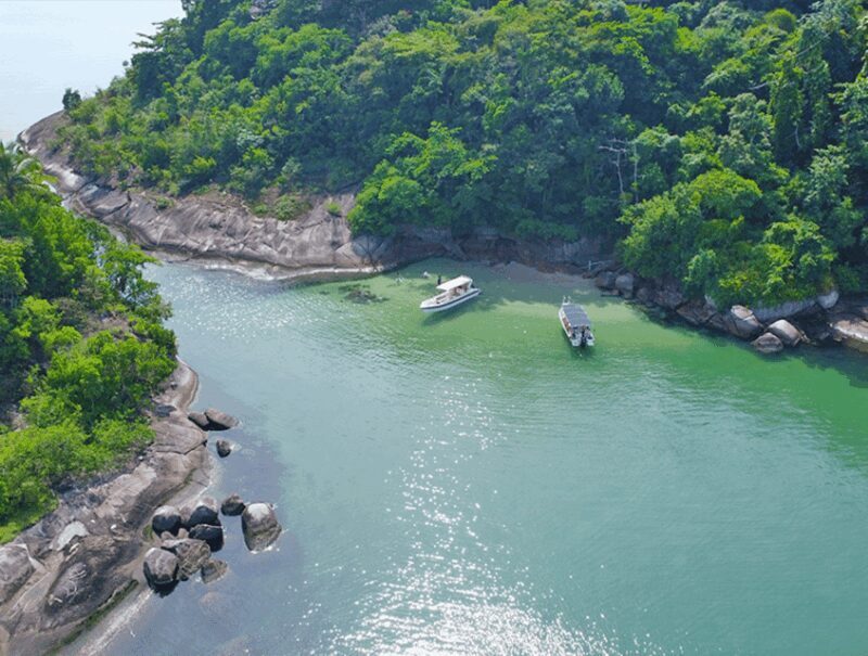 Paraty Islands: Speedboat with snorkeling - Who Will Love This Experience?