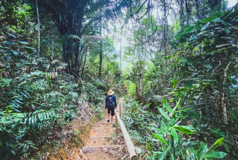 Paraty: Sono Beach Half-day Tour - Who Is This Tour Best For?