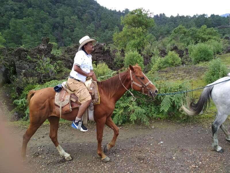 Paricutin Volcano Crater Special Tour - In-Depth Review of the Paricutin Volcano Crater Special Tour