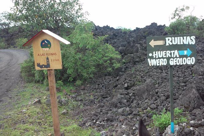 Paricutin Volcano Tour (Morelia) - Who Will Love This Tour?