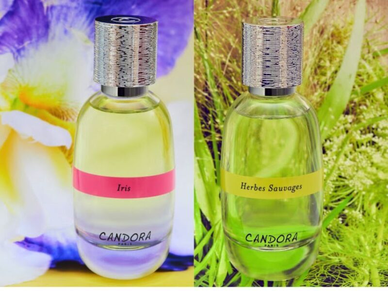 Paris: 2-Hour Perfume Creation Workshop - A Detailed Look at the Perfume Workshop Experience