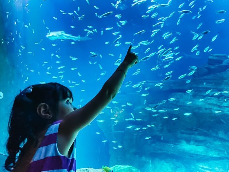 Paris: Aquarium de Paris Entrance Ticket - Discover the Marine World at Aquarium de Paris
