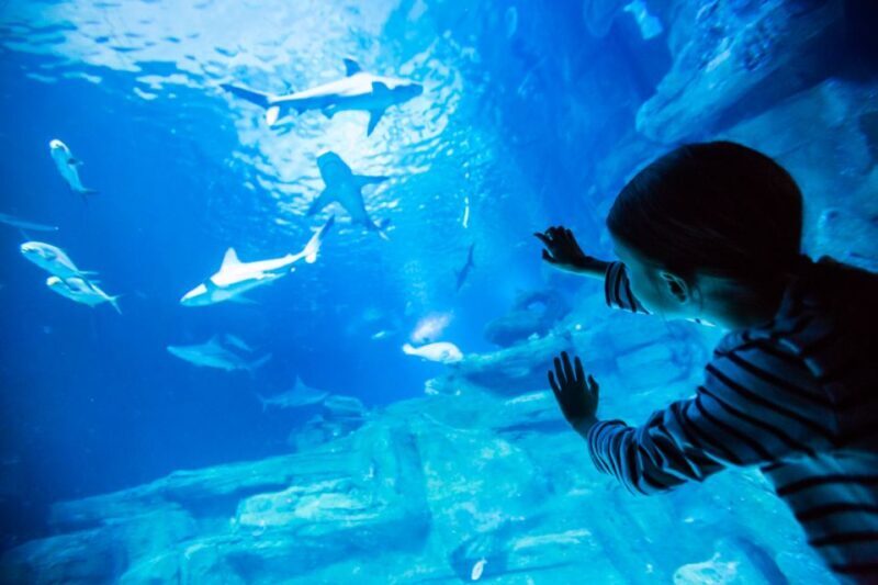 Paris: Aquarium de Paris Entrance Ticket - Who Will Love This Experience?