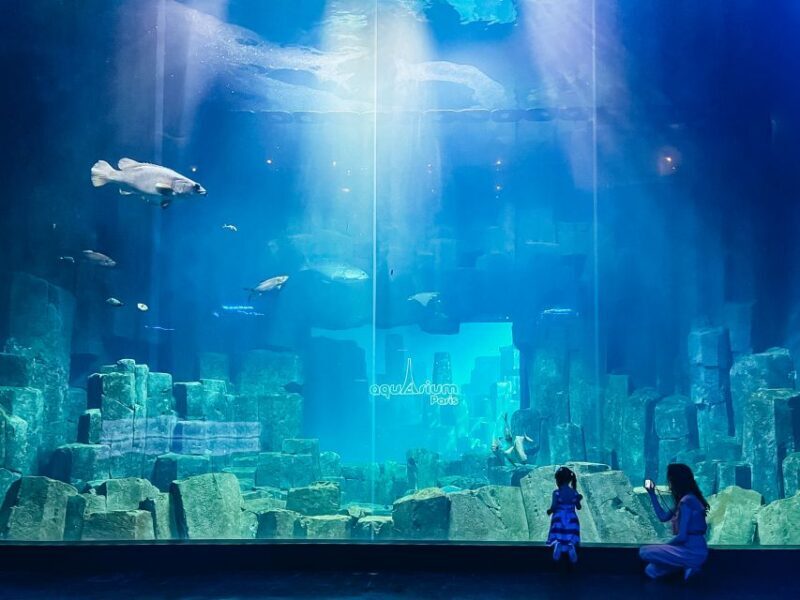 Paris: Aquarium de Paris Entrance Ticket - In-depth Look at Your Aquarium Visit