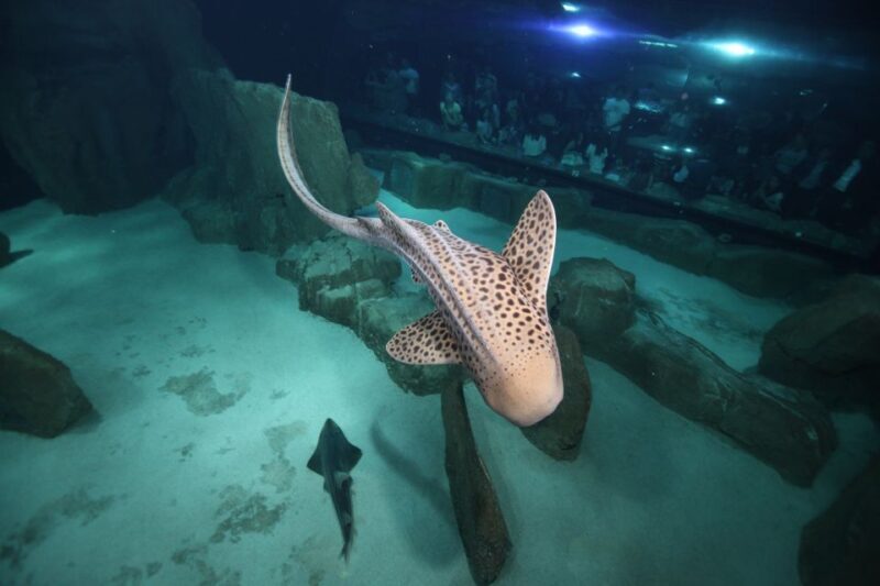 Paris: Aquarium de Paris Entrance Ticket - FAQ