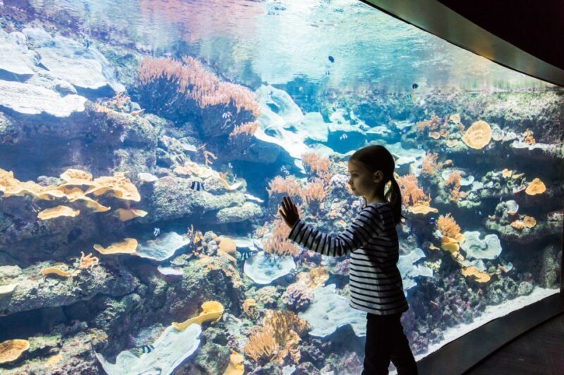 Paris: Aquarium de Paris Entrance Ticket - Final Thoughts