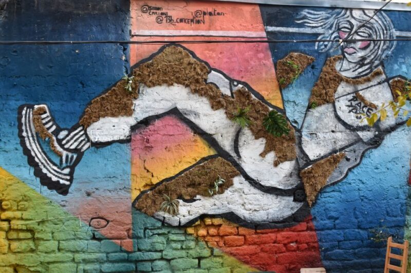 Paris: Belleville Street Art Tour with an Artist - A Walk Through Belleville’s Street Art Scene