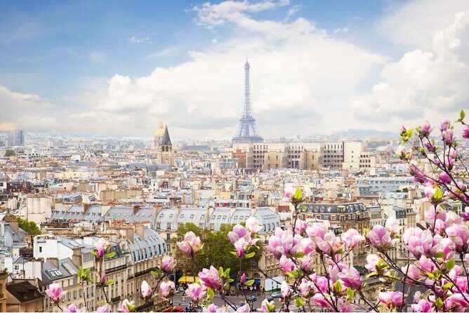 Paris by Rail with Sightseeing Bus and River Seine Lunch Cruise - Final Thoughts: Is This Tour Right for You?