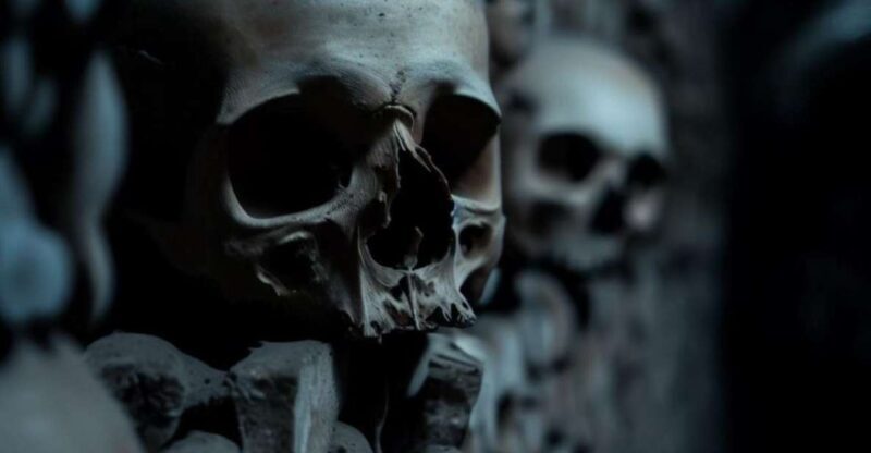 Paris: Catacombs, Audio Guide, and River Cruise Option - Authentic Experiences and Reader Insights