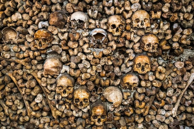 Paris: Catacombs Guided Tour - Final Thoughts