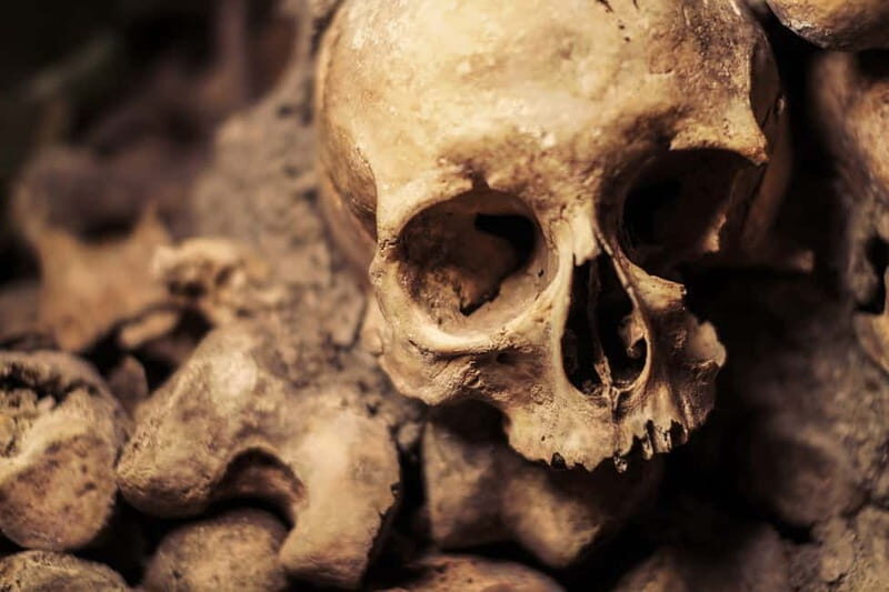 Paris: Catacombs Special Access Tour - What to Expect from Your Visit