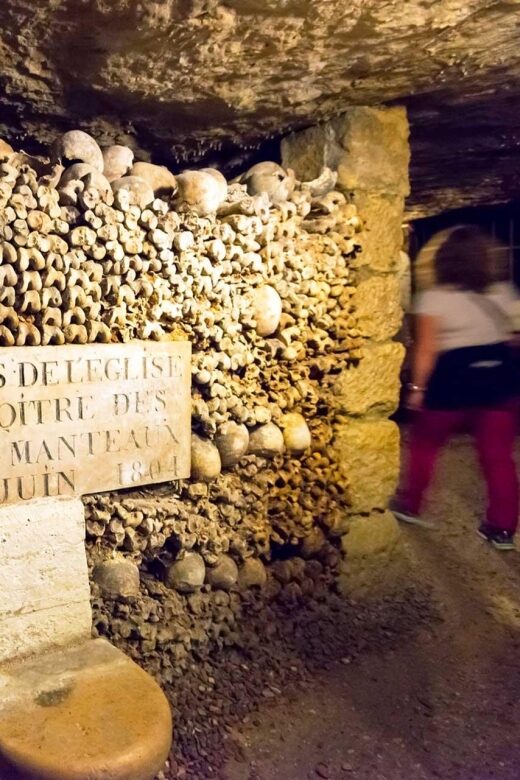 Paris: Catacombs Ticket and Seine River Cruise - Key Points