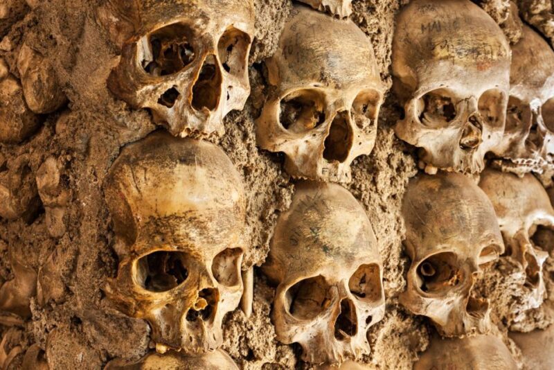 Paris: Catacombs Ticket and Seine River Cruise - Who Would Enjoy This Tour?