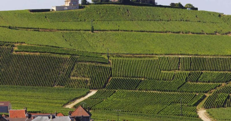 Paris: Champagne Region & Reims Private Day Trip - Who Should Consider This Tour?