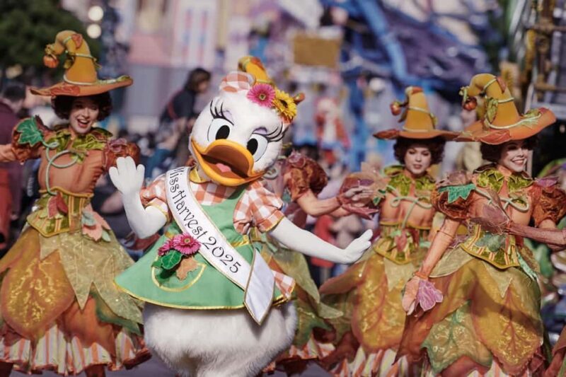 Paris: Disneyland Paris Ticket with Transfer - Who Will Love This Tour?