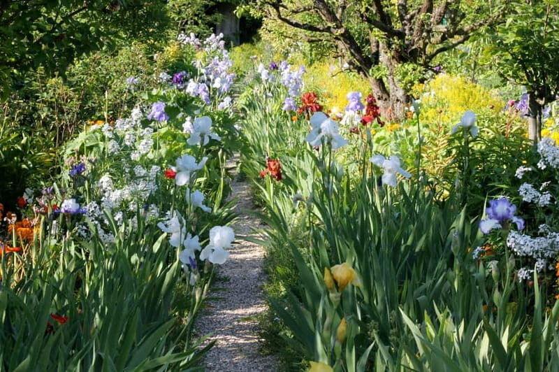 Paris: Giverny Gardens Day Trip with Professional Tour Guide - Exploring Giverny: What to Expect on Your Day Trip