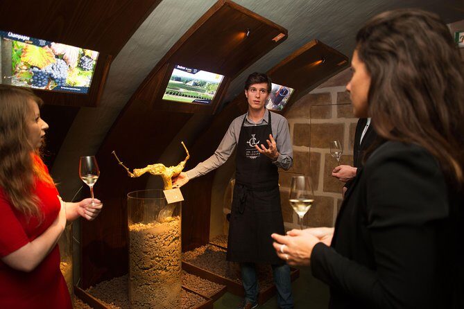 Paris - Guided Visit & Tasting in a Royal Wine Cellar - The Sum Up