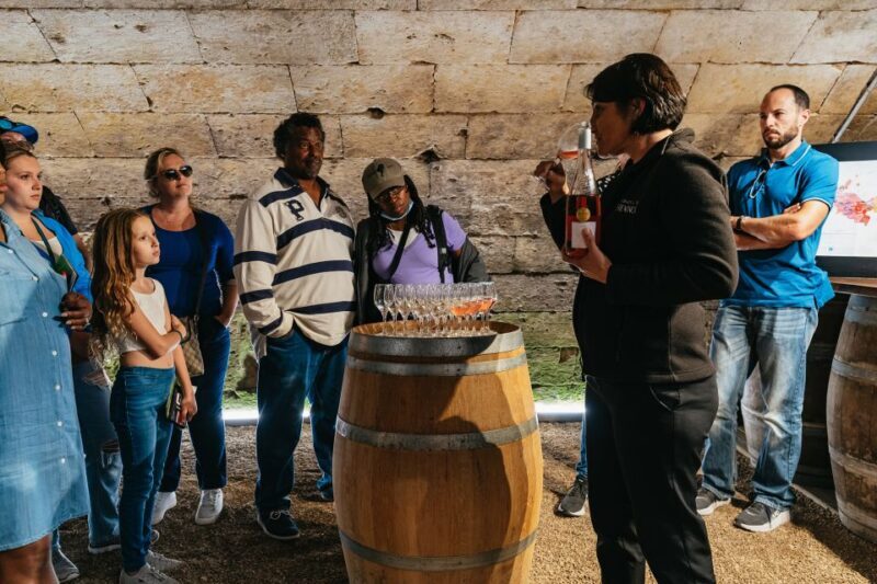 Paris: Loire Valley Day Trip with a Local - The Sum Up: Who Is This Tour Best For?