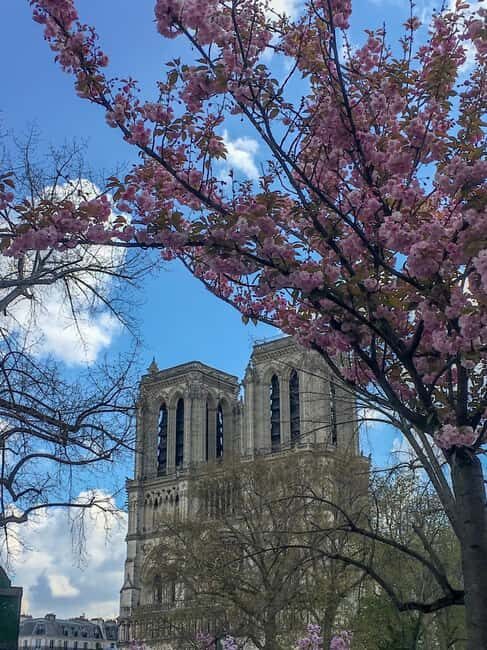 Paris: Notre Dame Exteriors and Ile de la Cité Walking Tour - Final Thoughts